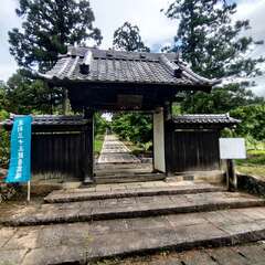 投稿日:2025年6月12日 写真