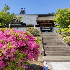 投稿日:2022年5月4日 写真