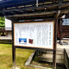 投稿日:2025年6月12日 写真