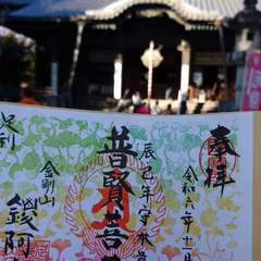 投稿日:2024年11月18日 写真