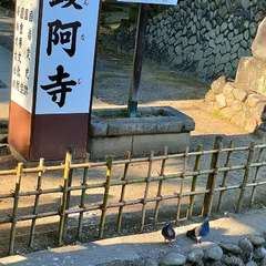 投稿日:2022年5月6日 写真