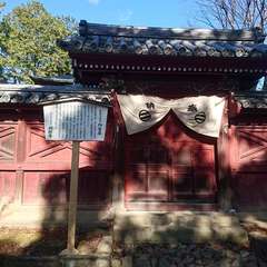 投稿日:2020年1月4日 写真