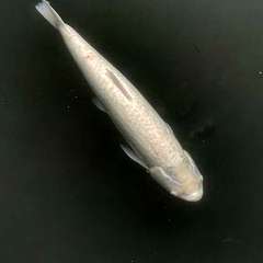 投稿日:2022年5月17日 写真