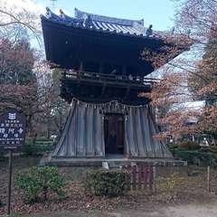 投稿日:2020年1月4日 写真