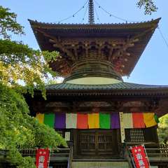 投稿日:2022年5月6日 写真