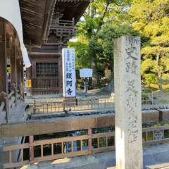 投稿日:2022年5月6日 写真