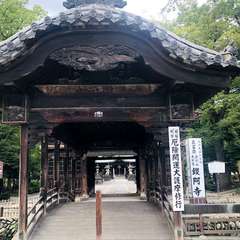 投稿日:2019年8月13日 写真