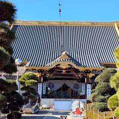 佐野厄除大師(投稿日:2025年12月12日) 写真