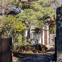 輪王寺 支院 實教院(投稿日:2025年12月7日) 写真