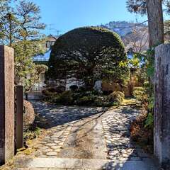 輪王寺 支院 護光院(投稿日:2025年12月7日) 写真