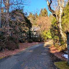 輪王寺 支院 日増院(投稿日:2025年12月7日) 写真