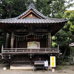 投稿日:2025年5月29日 写真