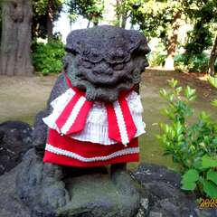 投稿日:2025年6月14日 写真