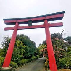 投稿日:2025年9月16日 写真