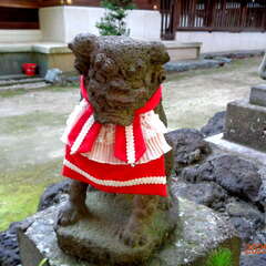 投稿日:2025年6月14日 写真