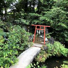 投稿日:2025年5月29日 写真