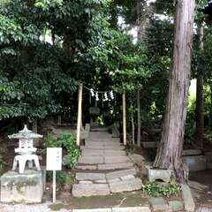 投稿日:2025年5月29日 写真