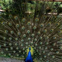 投稿日:2025年5月29日 写真