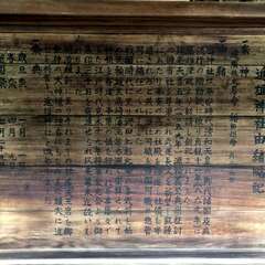 投稿日:2025年5月29日 写真