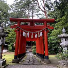 投稿日:2025年5月29日 写真