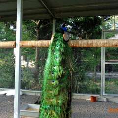 投稿日:2025年6月14日 写真