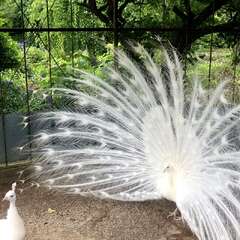 投稿日:2025年5月29日 写真