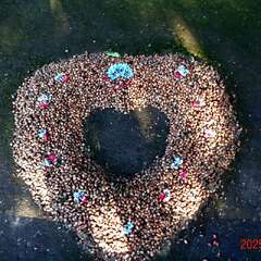 投稿日:2025年6月14日 写真