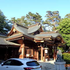 投稿日:2025年6月14日 写真