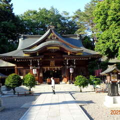 投稿日:2025年6月14日 写真