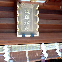 投稿日:2025年6月14日 写真