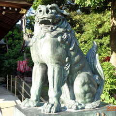 投稿日:2025年6月14日 写真