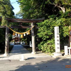 投稿日:2025年6月14日 写真