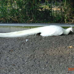 投稿日:2025年6月14日 写真