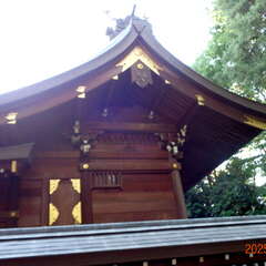 投稿日:2025年6月14日 写真