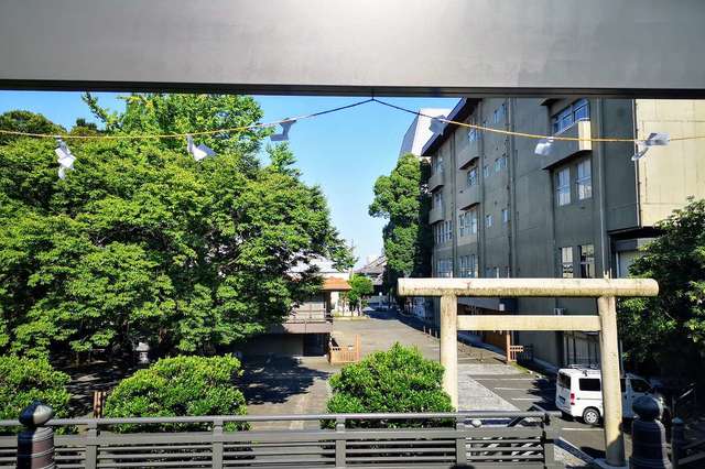 写真