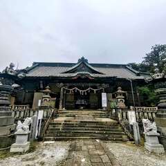 八幡八幡宮(投稿日:2025年10月31日) 写真
