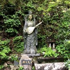 投稿日:2025年5月29日 写真