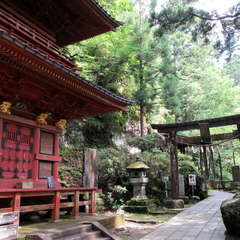 投稿日:2024年7月27日 写真