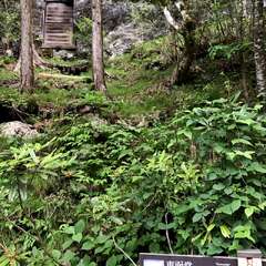 投稿日:2025年5月29日 写真