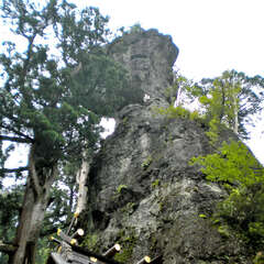 投稿日:2025年7月25日 写真