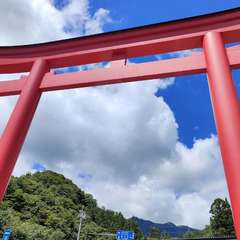 投稿日:2023年8月14日 写真