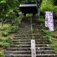 投稿日:2025年5月29日 写真
