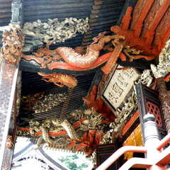 投稿日:2025年7月25日 写真