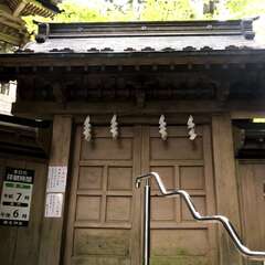 投稿日:2025年5月29日 写真