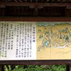 投稿日:2025年5月29日 写真