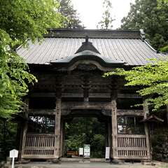 投稿日:2025年5月29日 写真