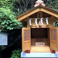 投稿日:2025年5月29日 写真