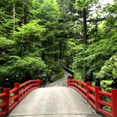 投稿日:2025年5月29日 写真