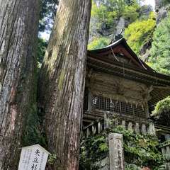 投稿日:2023年8月14日 写真