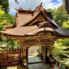 投稿日:2023年8月14日 写真